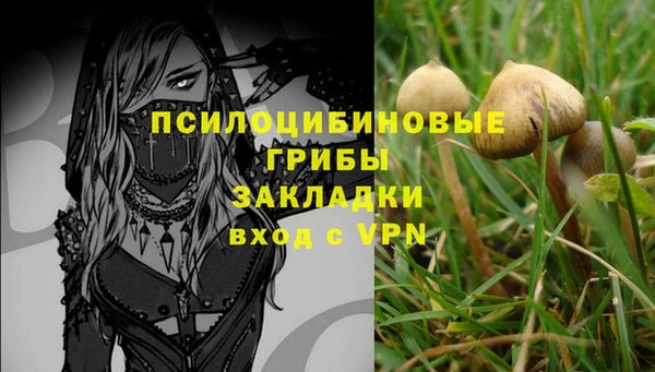 ALPHA PVP Алексин