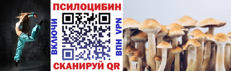 MEGA ONION  Ардатов  Галлюциногенные грибы прущие грибы 